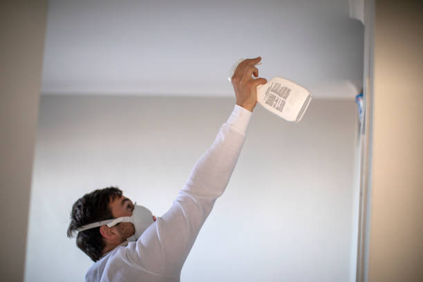 Best Office Mold Removal Services  in Pittsville, MD