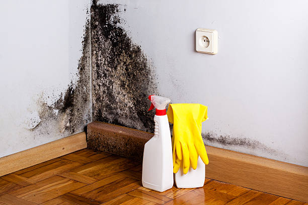 Water Damage Restoration in Pittsville, MD